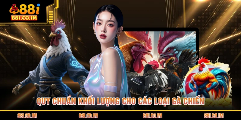 Quy chuẩn khối lượng cho các loại gà chiến