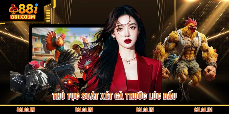 Thủ tục soát xét gà trước lúc đấu