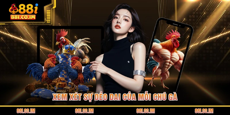 Xem xét sự dẻo dai của mỗi chú gà