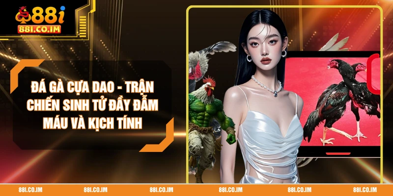 Đá Gà Cựa Dao - Trận Chiến Sinh Tử Đầy Đẫm Máu Và Kịch Tính