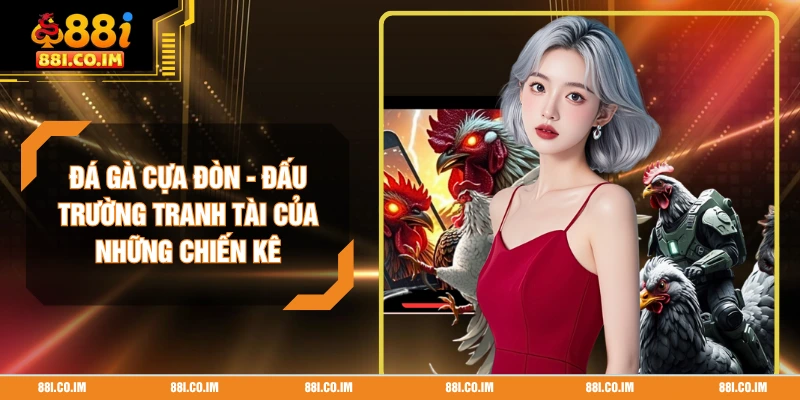 Đá Gà Cựa Đòn - Đấu Trường Tranh Tài Của Những Chiến Kê