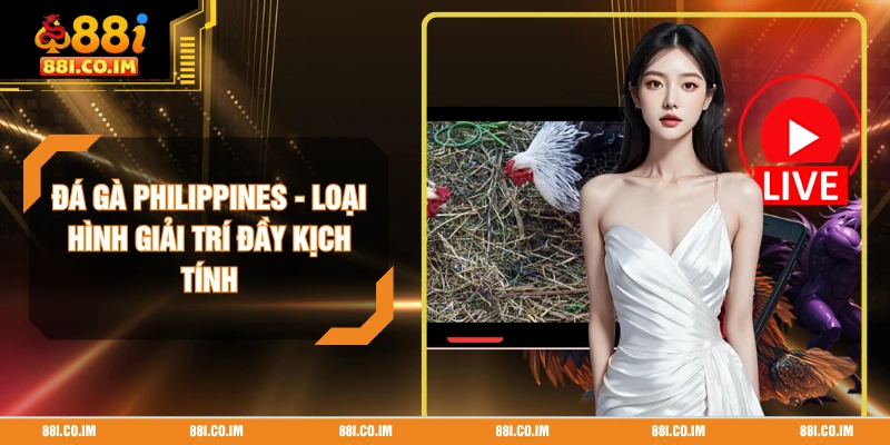 Đá Gà Philippines - Loại Hình Giải Trí Đầy Kịch Tính