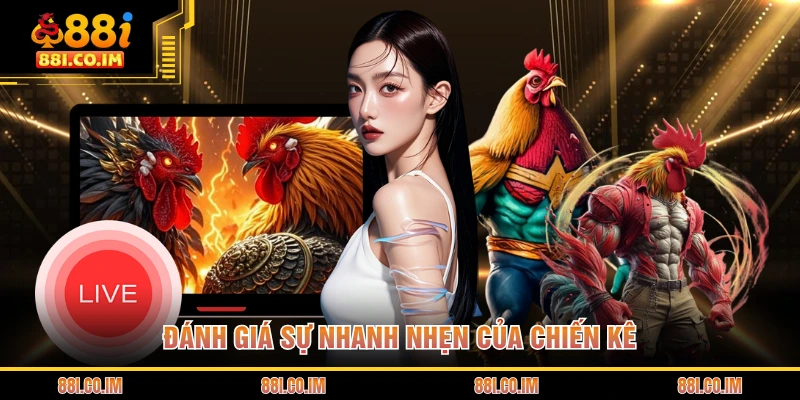 Đánh giá sự nhanh nhẹn của chiến kê