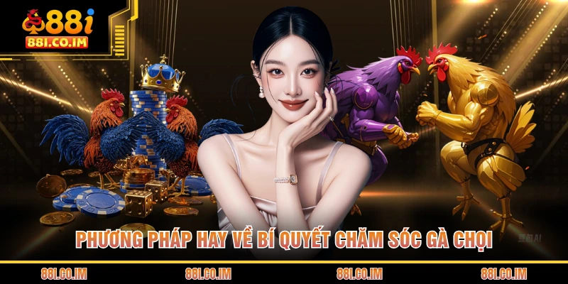 Phương pháp hay về bí quyết chăm sóc gà chọi