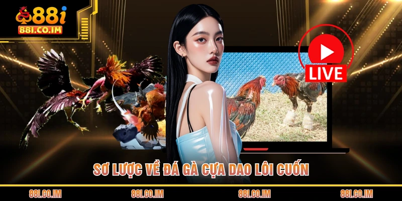 Sơ lược về đá gà cựa dao lôi cuốn