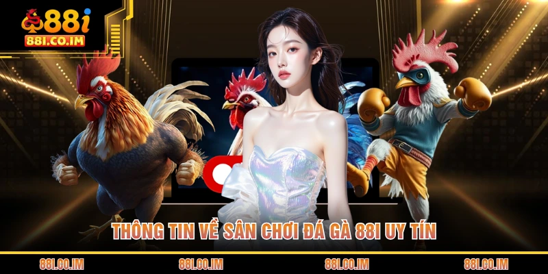 Thông tin về sân chơi đá gà 88I uy tín