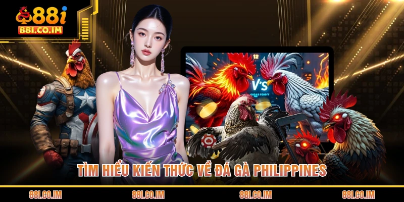 Tìm hiểu kiến thức về đá gà Philippines
